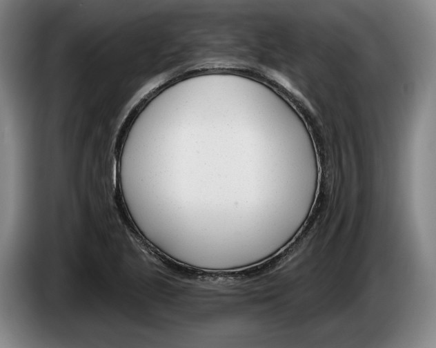 X0000083531221200703091505