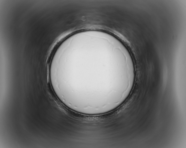 X0000083531223200703091505