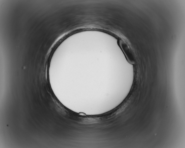 X0000083531224200703091505