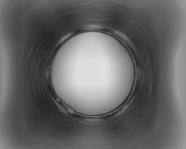 X0000083531225200703091505