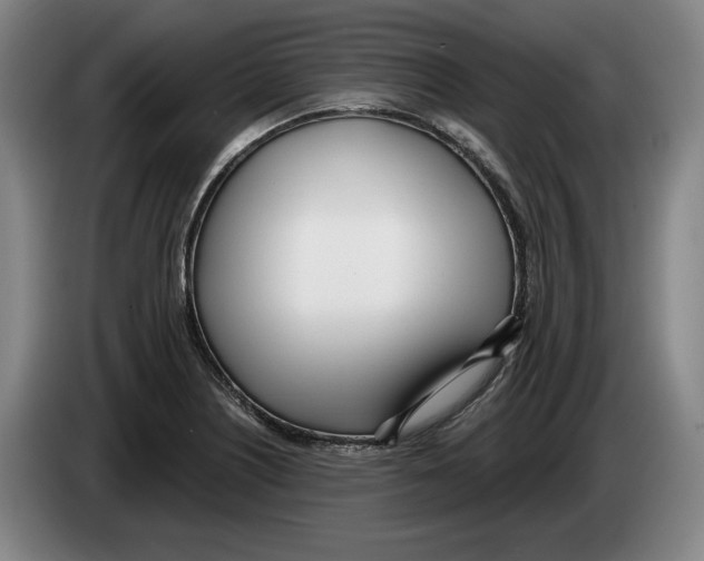 X0000083531226200703091505