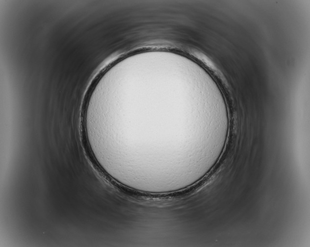 X0000083531229200703091505