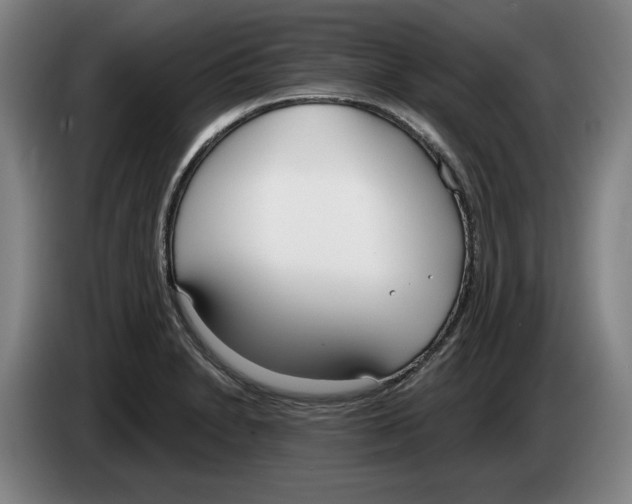 X0000083531230200703091505