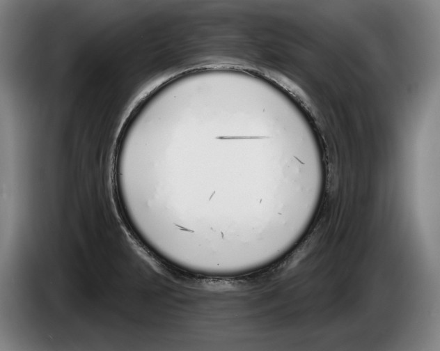 X0000083531231200703091505