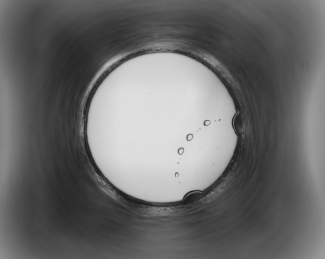 X0000083531232200703091505