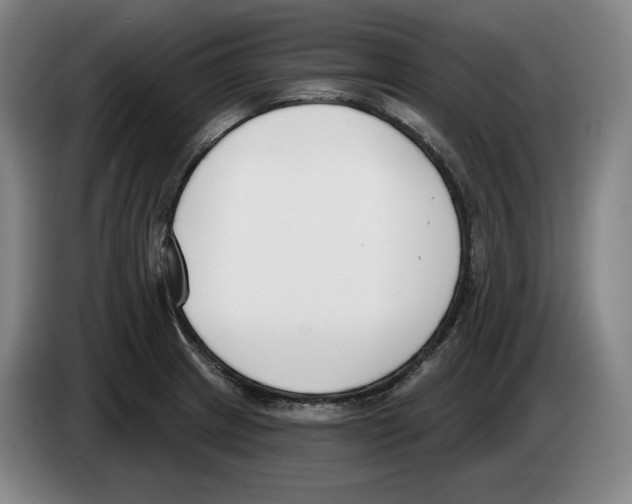 X0000083531233200703091505