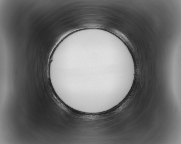 X0000083531236200703091505