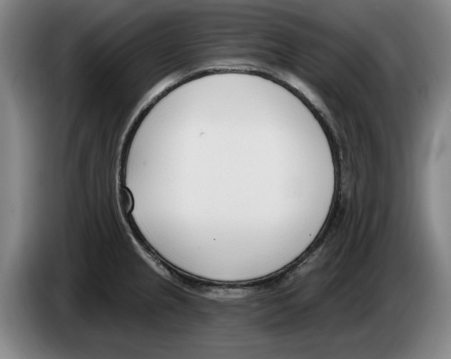 X0000083531237200703091505