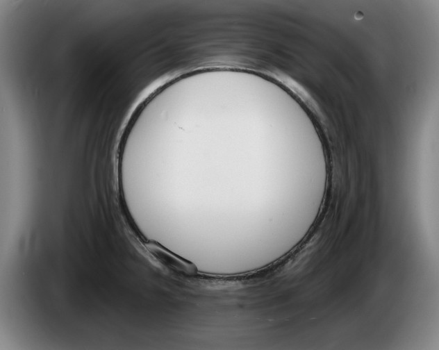 X0000083531238200703091505