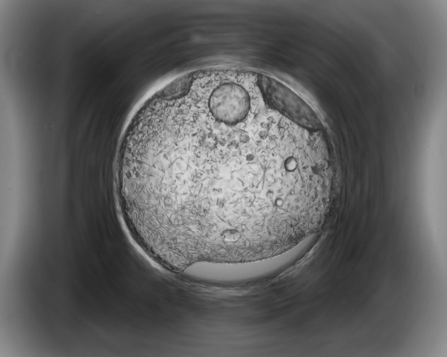 X0000083531239200703091505