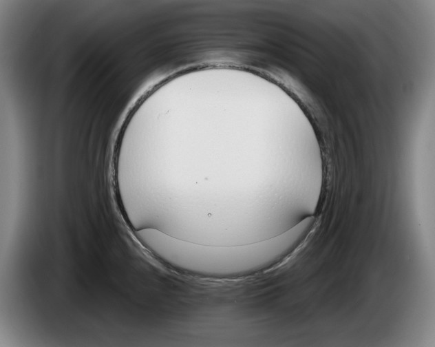 X0000083531240200703091505