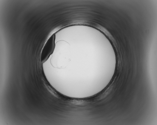 X0000083531242200703091505