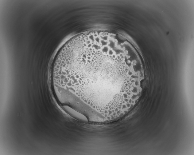 X0000083531243200703091505