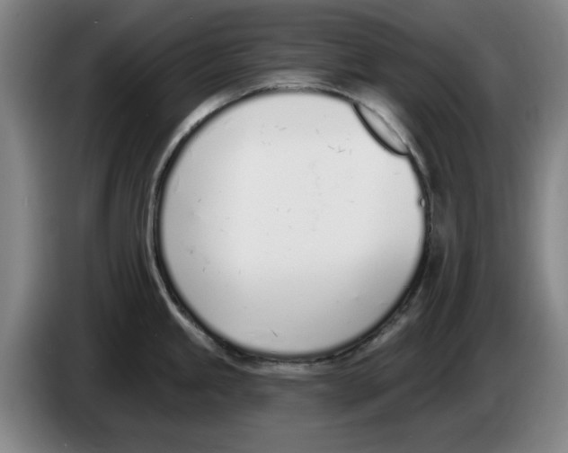 X0000083531245200703091505