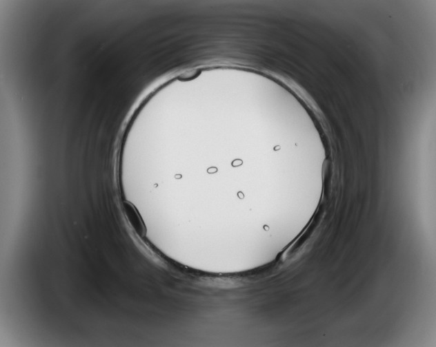 X0000083531246200703091505