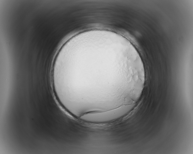 X0000083531247200703091505