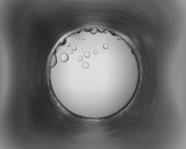 X0000083531248200703091505