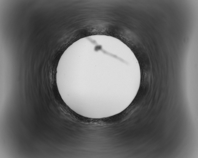 X0000083531250200703091505