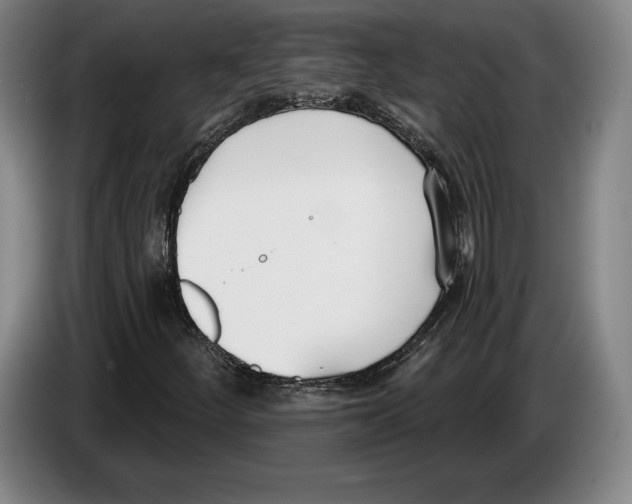 X0000083531252200703091505