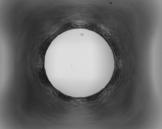 X0000083531253200703091505