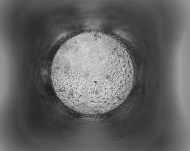 X0000083531254200703091505