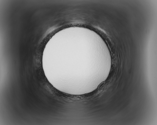 X0000083531255200703091504