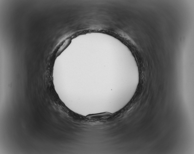 X0000083531256200703091504