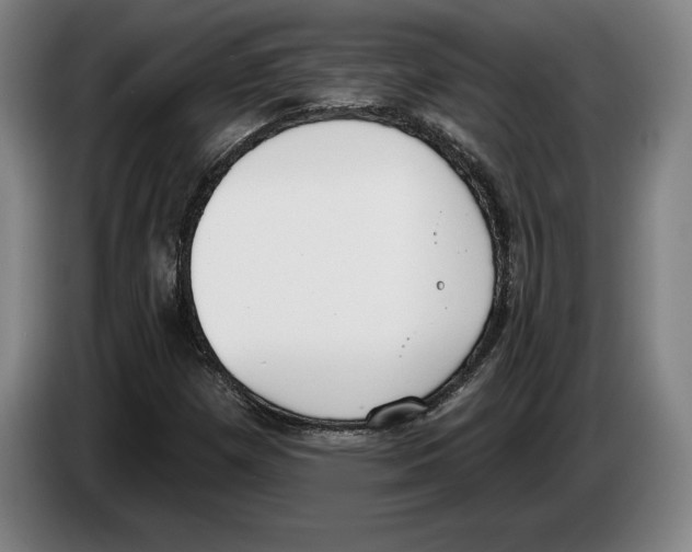 X0000083531257200703091504