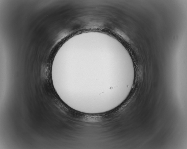 X0000083531258200703091504