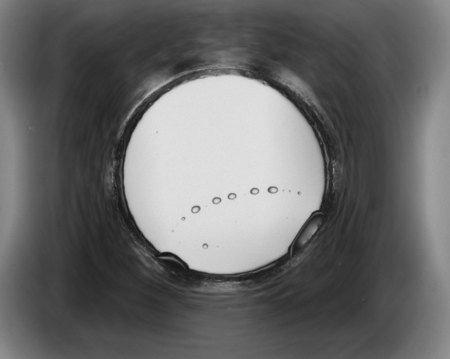 X0000083531260200703091504