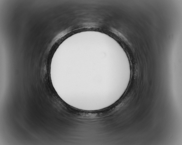 X0000083531261200703091504