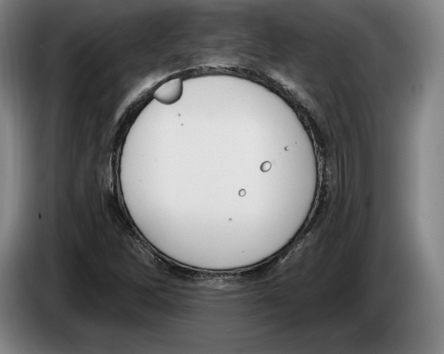 X0000083531262200703091504