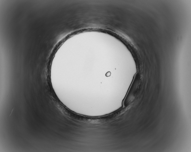 X0000083531264200703091504