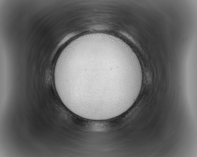 X0000083531266200703091504