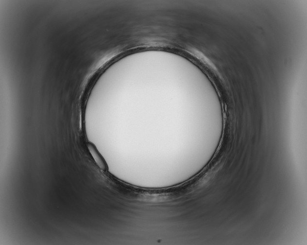 X0000083531269200703091504