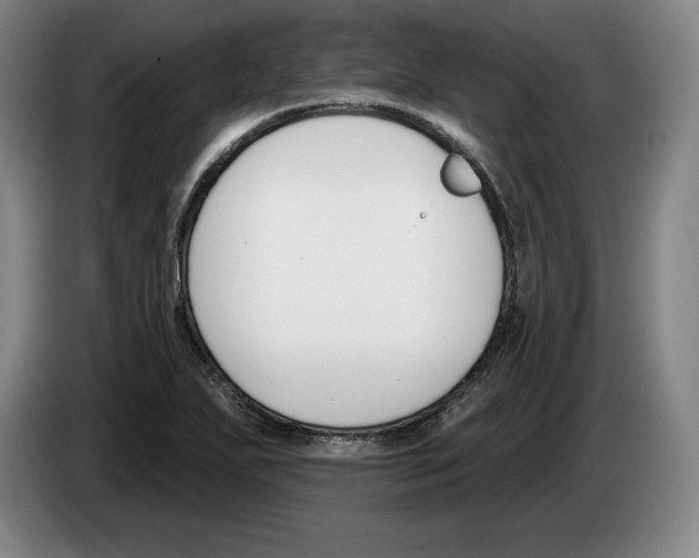 X0000083531271200703091504