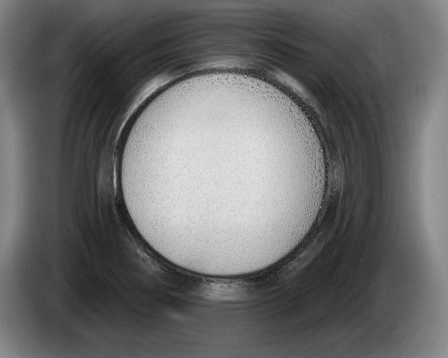 X0000083531274200703091504