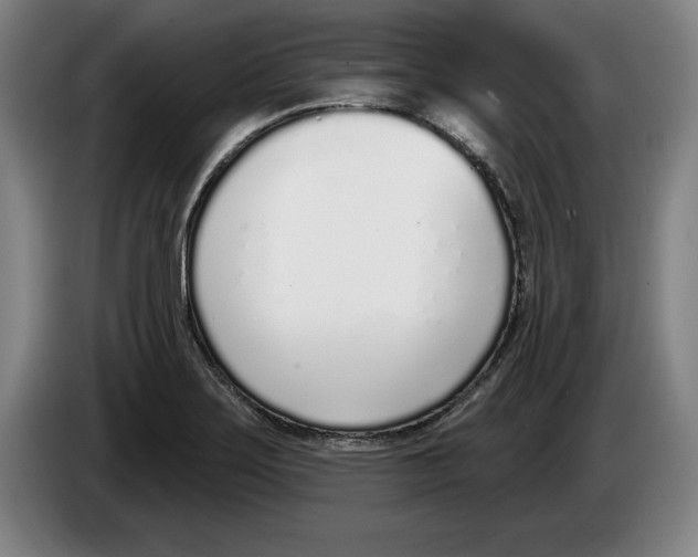 X0000083531275200703091504