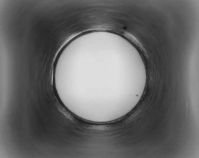 X0000083531276200703091504