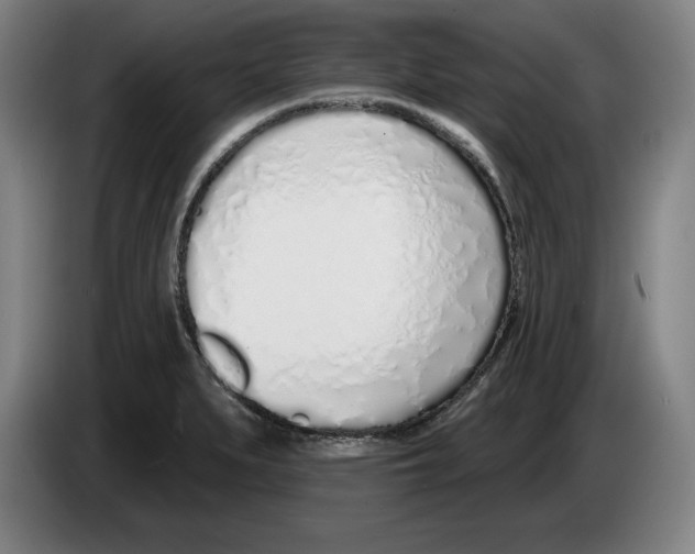 X0000083531279200703091504