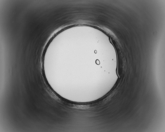 X0000083531280200703091504