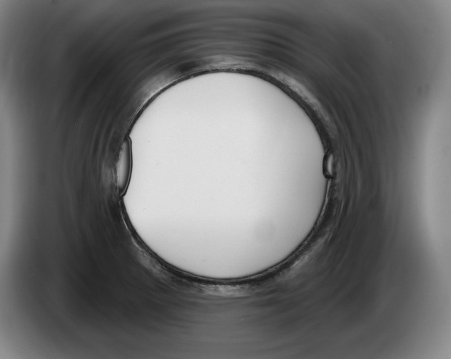 X0000083531281200703091504