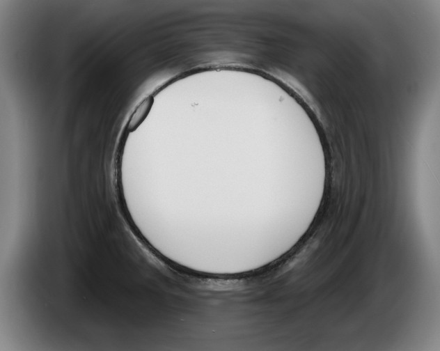 X0000083531285200703091504