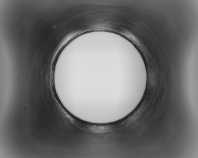 X0000083531286200703091504