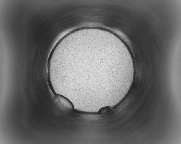 X0000083531287200703091504