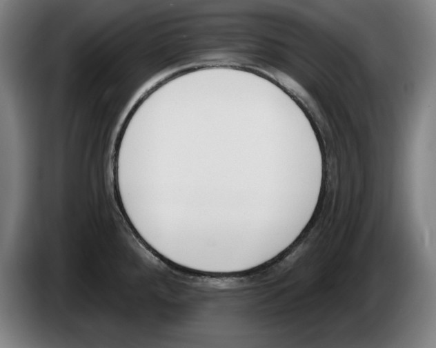 X0000083531288200703091504