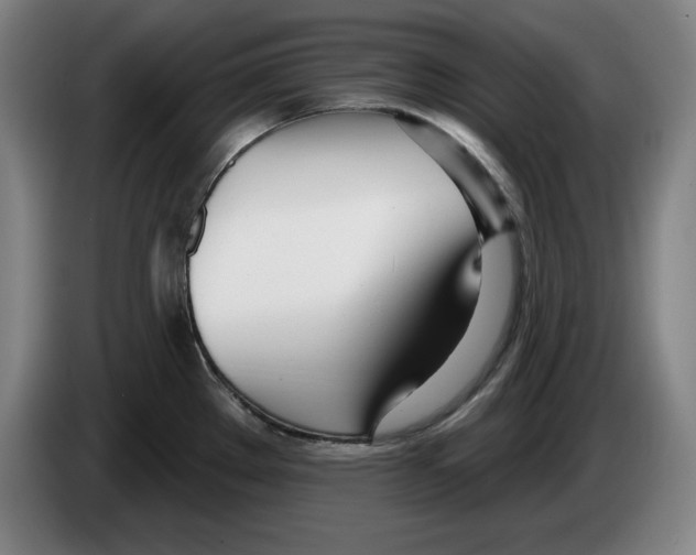 X0000083531289200703091504