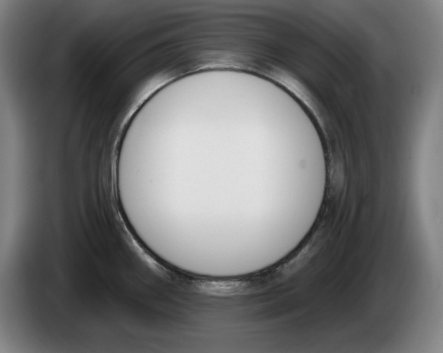 X0000083531290200703091504