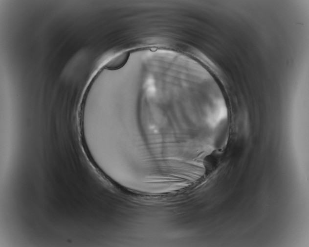 X0000083531291200703091504