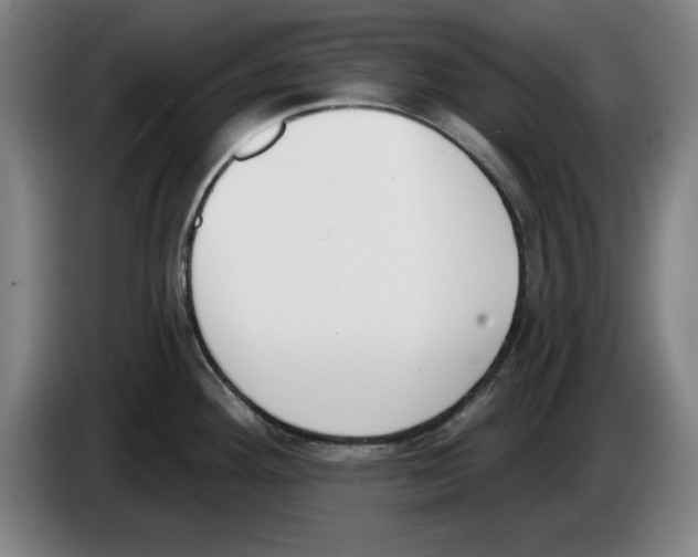 X0000083531292200703091504